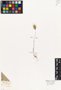 SW_BNB_s3010-04231_IMG-0000000001