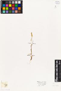 SW_BNB_s3010-04235_IMG-0000000001