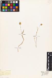 SW_BNB_s3010-04239_IMG-0000000001