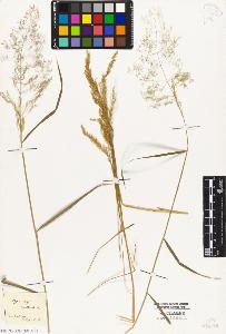 SW_BNB_s3010-04240_IMG-0000000001