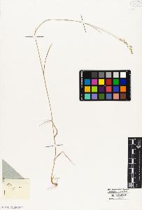 SW_BNB_s3010-04241_IMG-0000000001