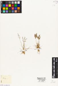SW_BNB_s3010-04242_IMG-0000000001