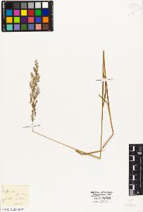 SW_BNB_s3010-04243_IMG-0000000001