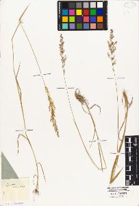 SW_BNB_s3010-04245_IMG-0000000001