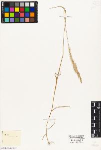 SW_BNB_s3010-04251_IMG-0000000001