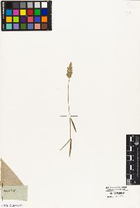 SW_BNB_s3010-04257_IMG-0000000001