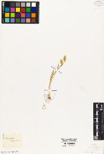 SW_BNB_s3010-04258_IMG-0000000001