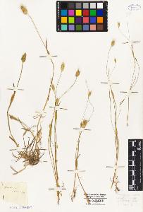 SW_BNB_s3010-04259_IMG-0000000001