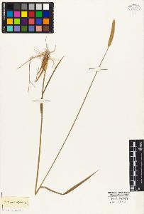 SW_BNB_s3010-04260_IMG-0000000001