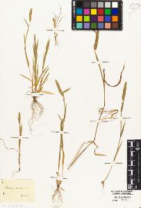 SW_BNB_s3010-04262_IMG-0000000001