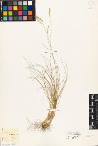 SW_BNB_s3010-04265_IMG-0000000001