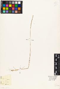 SW_BNB_s3010-04267_IMG-0000000001