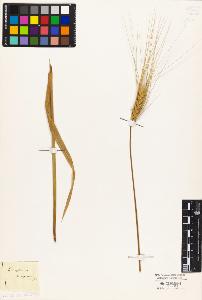 SW_BNB_s3010-04269_IMG-0000000001