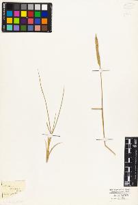 SW_BNB_s3010-04274_IMG-0000000001