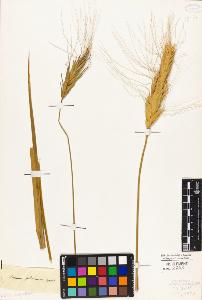 SW_BNB_s3010-04275_IMG-0000000001