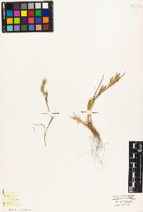 SW_BNB_s3010-04277_IMG-0000000001