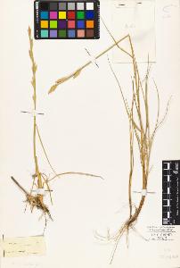SW_BNB_s3010-04279_IMG-0000000001