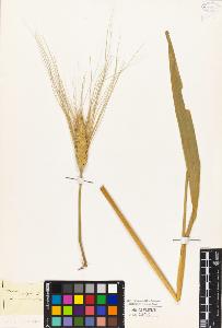 SW_BNB_s3010-04282_IMG-0000000001