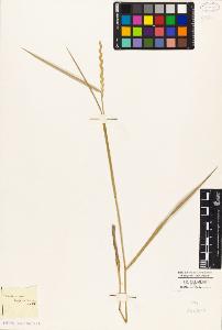 SW_BNB_s3010-04284_IMG-0000000001