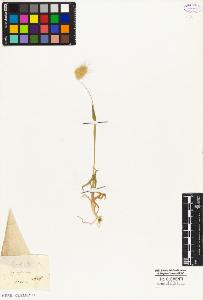 SW_BNB_s3010-04287_IMG-0000000001