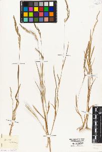 SW_BNB_s3010-04290_IMG-0000000001