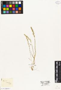 SW_BNB_s3010-04291_IMG-0000000001