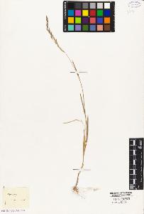 SW_BNB_s3010-04292_IMG-0000000001