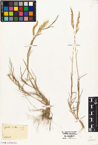 SW_BNB_s3010-04293_IMG-0000000001