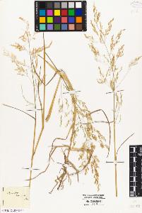 SW_BNB_s3010-04294_IMG-0000000001