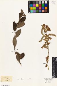 SW_BNB_s3010-04302_IMG-0000000001