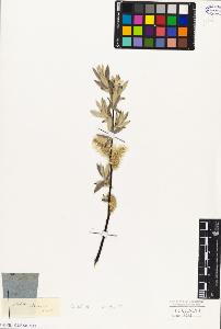 SW_BNB_s3010-04306_IMG-0000000001