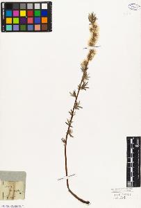 SW_BNB_s3010-04307_IMG-0000000001