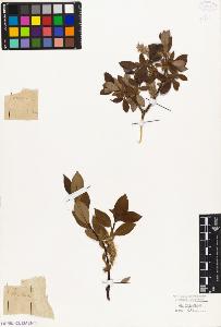 SW_BNB_s3010-04311_IMG-0000000001