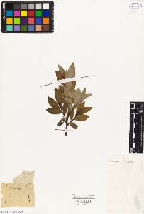 SW_BNB_s3010-04313_IMG-0000000001