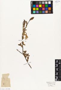 SW_BNB_s3010-04314_IMG-0000000001
