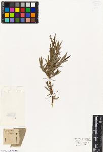 SW_BNB_s3010-04319_IMG-0000000001