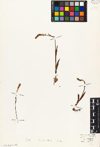 SW_BNB_s3010-04324_IMG-0000000001