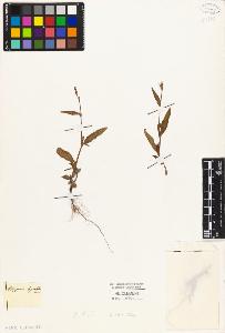 SW_BNB_s3010-04327_IMG-0000000001