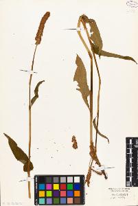 SW_BNB_s3010-04332_IMG-0000000001
