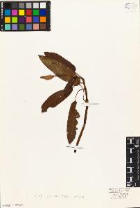 SW_BNB_s3010-04333_IMG-0000000001