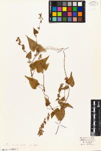 SW_BNB_s3010-04334_IMG-0000000001