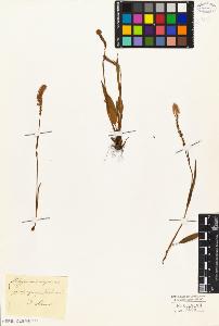SW_BNB_s3010-04335_IMG-0000000001
