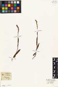 SW_BNB_s3010-04336_IMG-0000000001