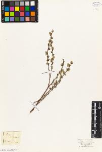 SW_BNB_s3010-04337_IMG-0000000001