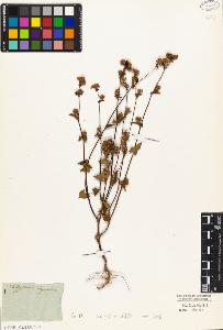 SW_BNB_s3010-04338_IMG-0000000001