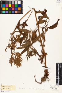 SW_BNB_s3010-04340_IMG-0000000001