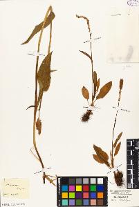 SW_BNB_s3010-04341_IMG-0000000001