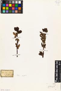 SW_BNB_s3010-04343_IMG-0000000001