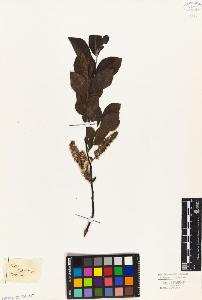 SW_BNB_s3010-04348_IMG-0000000001
