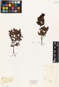 SW_BNB_s3010-04349_IMG-0000000001